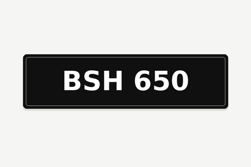 BSH 650 number plate illustration
