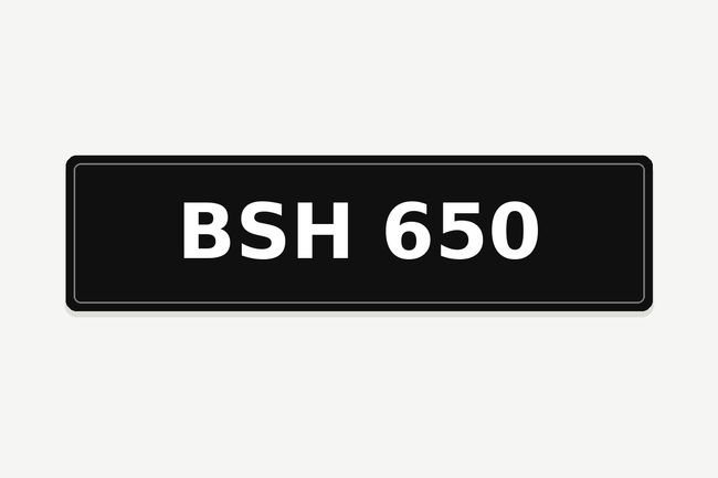 BSH 650